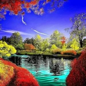 Meet your Posher, Shelley